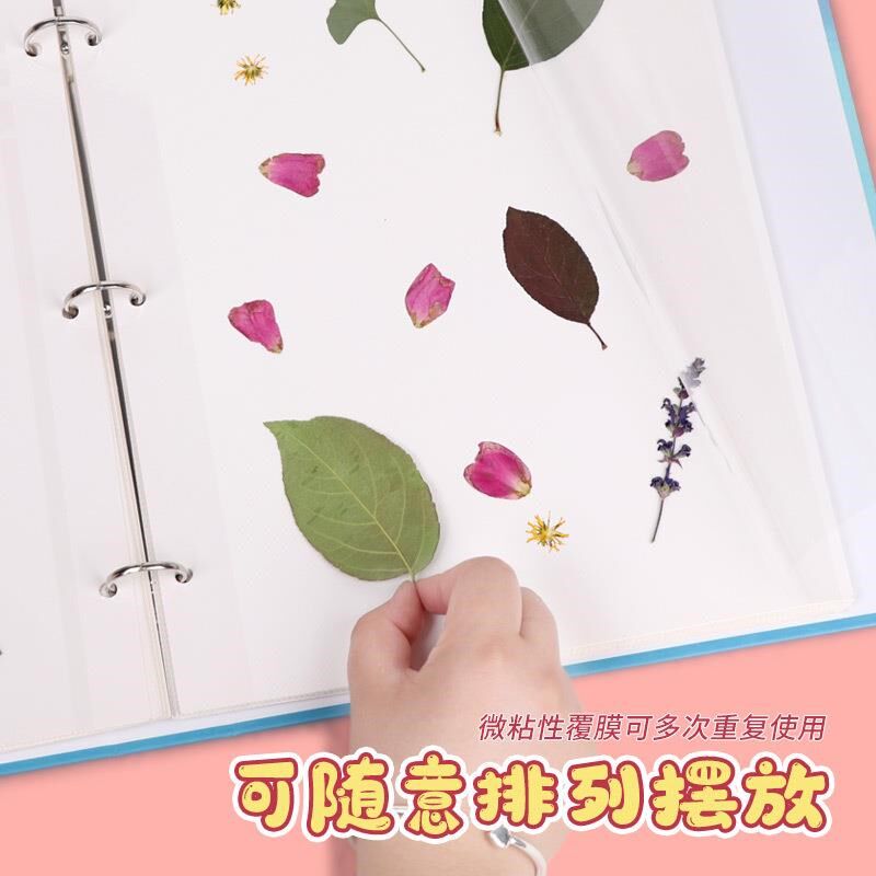 速发叶物标本收集册覆花册压花树植收纳册自粘贴式干膜相册活页装