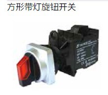 上海天逸TAYEE两位方形带灯旋钮开关LA42XLD2F-10/AC220V R