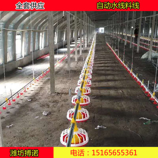 肉鸭种鸭料线 自动养殖喂料机 养鸭上料机 鸭用水线料线养鸡场