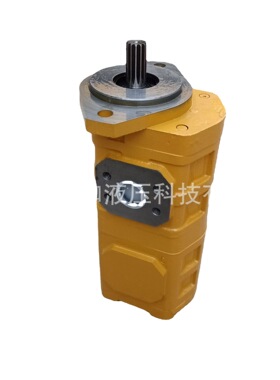 上海打桩机工作泵 CBGJ1020/1020 钻孔机齿轮泵 真供 高压耐用