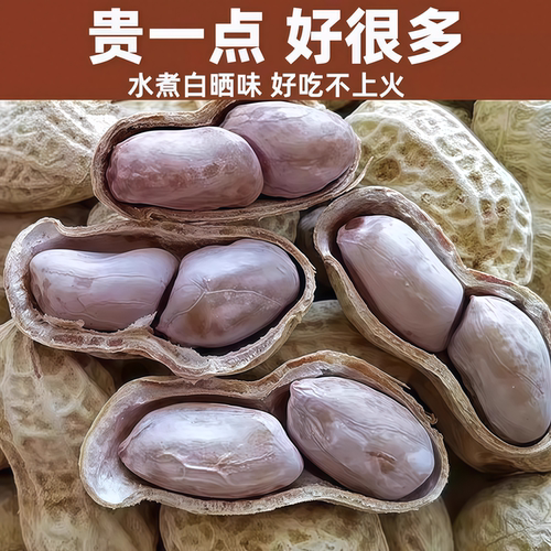 新货龙岩特产水煮白晒咸干花生