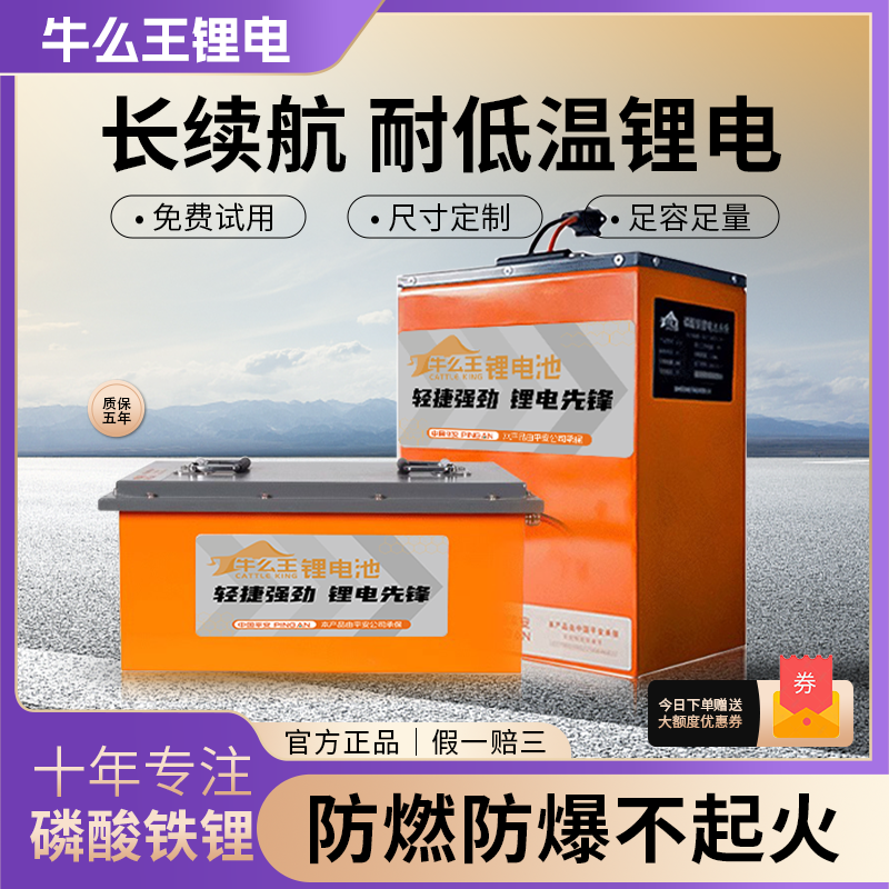 牛么王锂电池60V锂电池72V锂电池54AH两轮三轮电动车摩托车锂电池