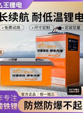 牛么王锂电池60V锂电池72V锂电池54AH两轮三轮电动车摩托车锂电池