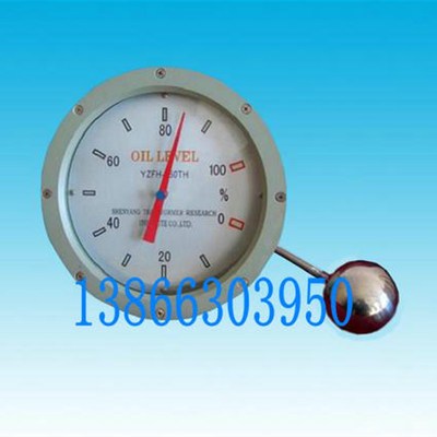 速发北河省武配县天宇变压器强件有限公司 油位计