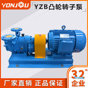 浙江永球 YZB凸轮转子泵高自吸泵污水泵橡胶转子泵泡沫液泵