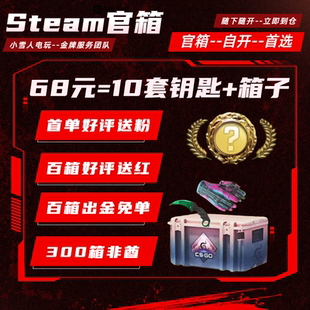 CSGO箱子钥匙武器饰品刀手套命悬开箱激流梦魇裂空CS2钥匙箱子