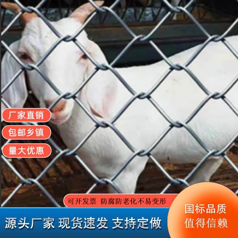 镀锌勾花网包塑球场围栏网果园养殖牛羊狗铁丝网钢丝网*