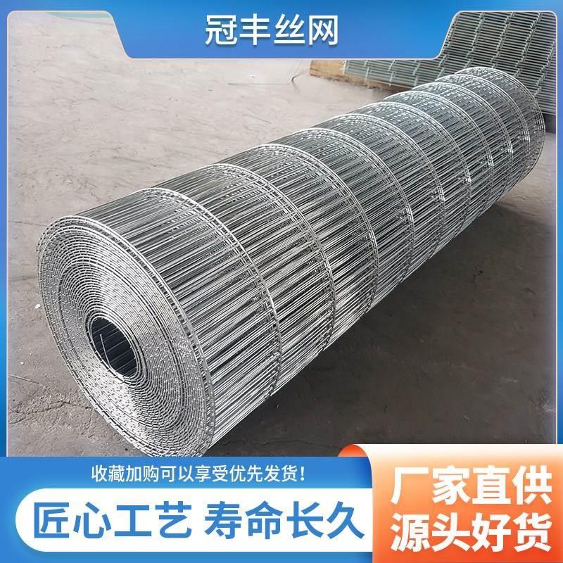 加粗镀锌小长孔电焊网铁丝网片网格丝养殖卷网鸡鸽笼鸟笼阳台垫底