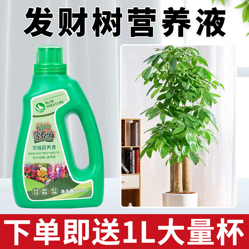 速发发财树花用营养液花肥花卉养专肥料金钱盆三角梅绿萝水培树栽