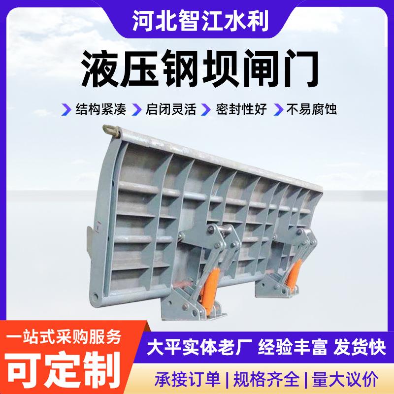 实体厂家河道景区翻板钢坝景观钢坝不锈钢钢坝现货水利液压钢坝