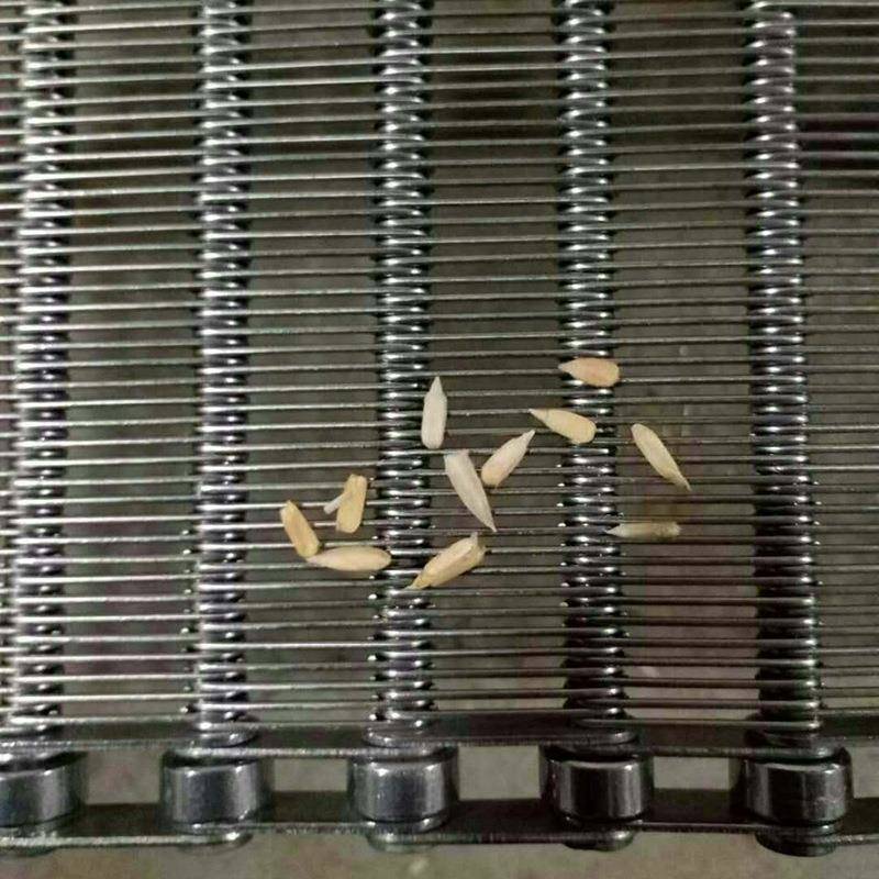 厂家直供瓜子输送网链04不锈钢水果片烘干眼镜网带清洗机链片网