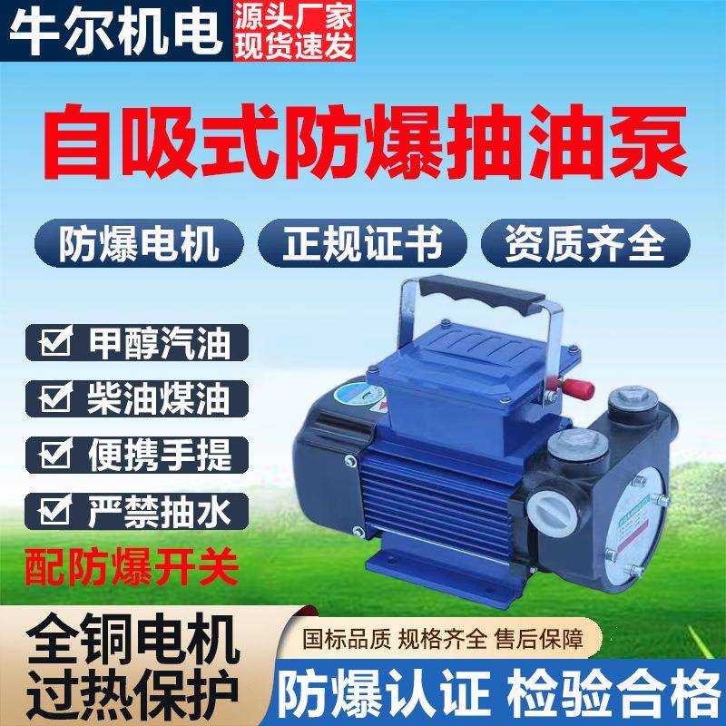DYB-80自吸式防爆电动抽油泵220V大流量手提式甲醇汽油柴油加油泵