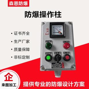 挂式 防爆操作控制箱防腐按钮箱两灯两钮一表防水防尘立式 IIB