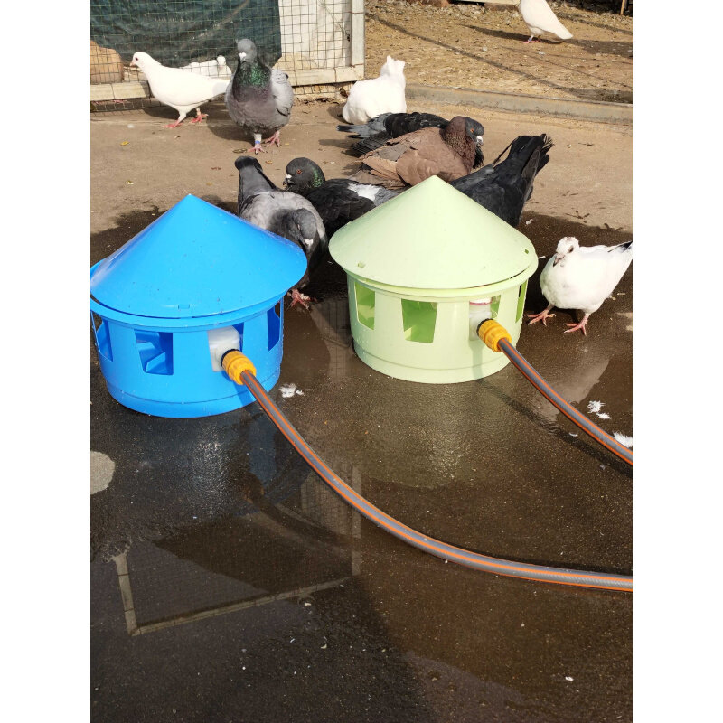 鸽子自动喂水器喂水壶信鸽赛鸽观赏鸽鸽子用品用具饮水器用品用具