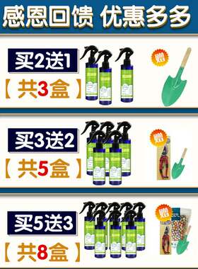 极速仙客来专用肥营养液肥料叶子发黄不开花风P信子朱顶红仙客来