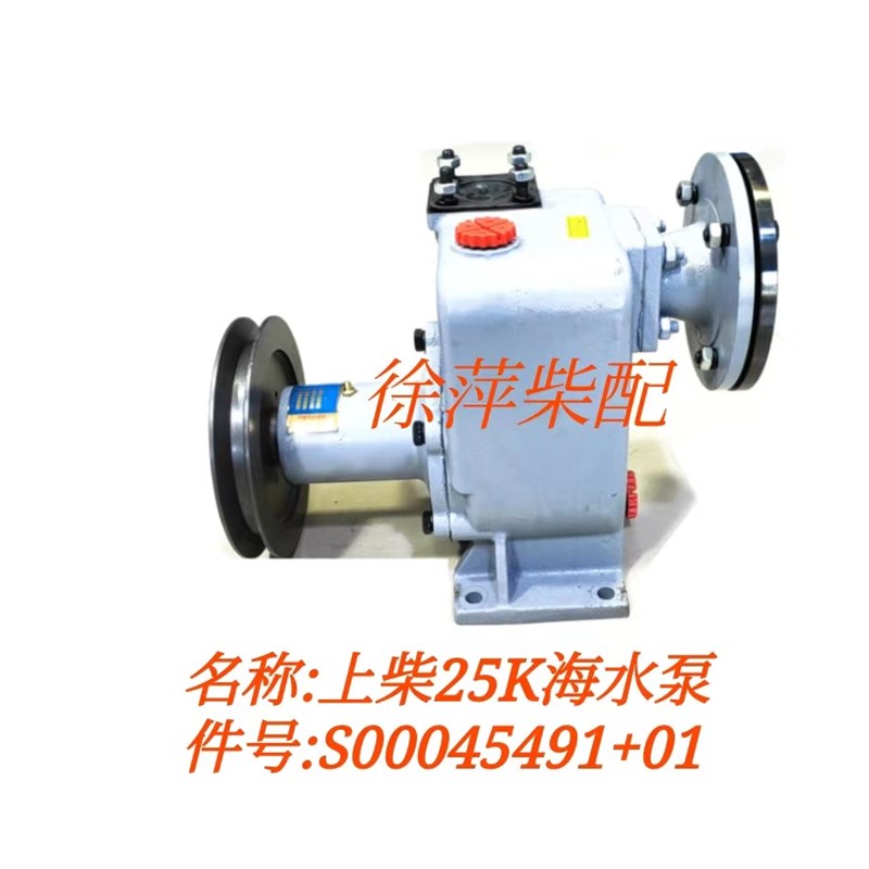 极速S00045491+01海水泵25K/SC25GE/SC27G/SC33海水泵6180水压头