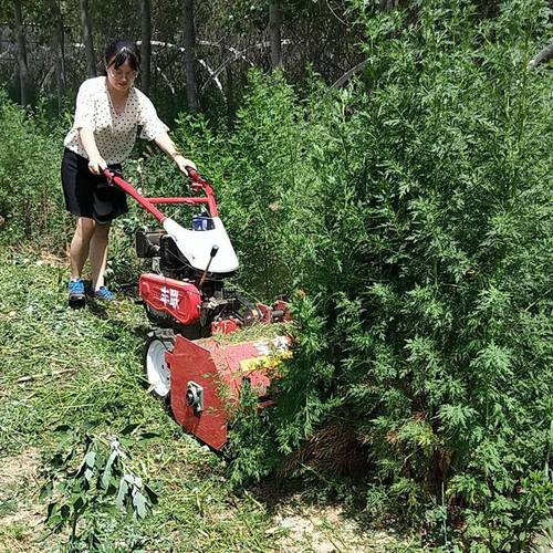 极速新款手扶式果园割o草机 小型柴油碎草机 苗圃大棚农用割草机