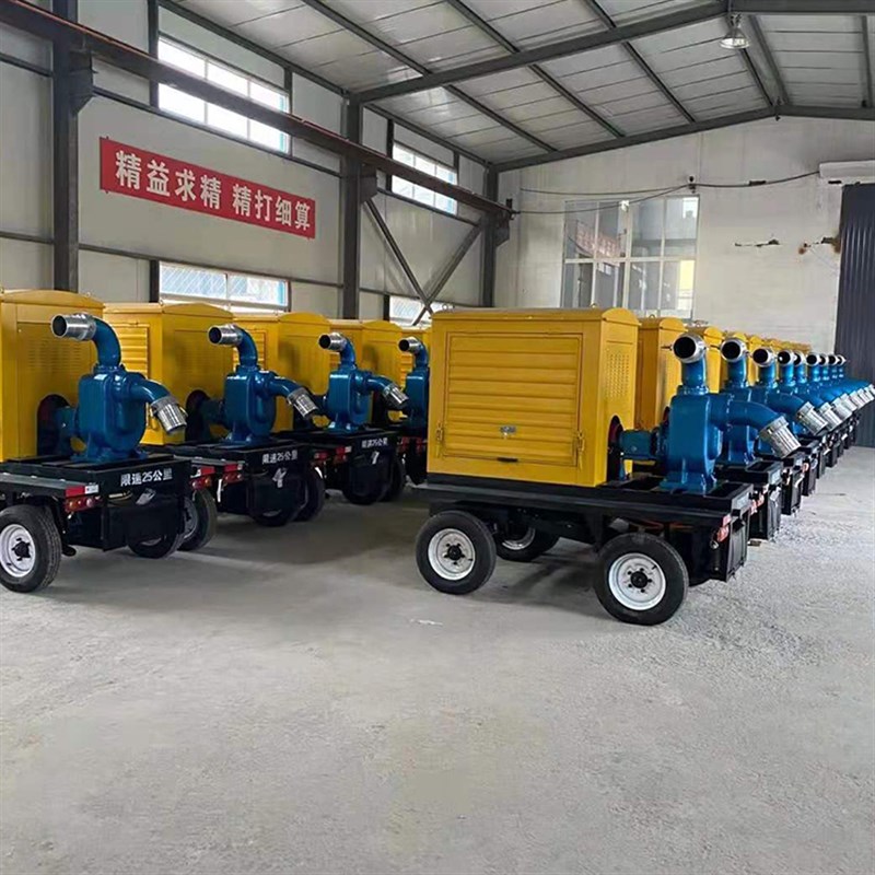 新品赛尔达 推车式抽水机 自吸B柴油抽水泵P 防汛排污移动泵浦车