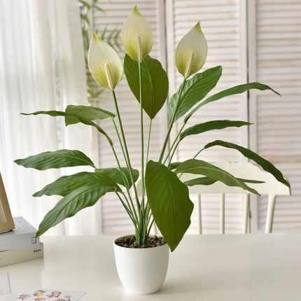 仿真植物红掌假花束客厅室内装饰盆栽摆设塑料绿植假花小盆景摆件