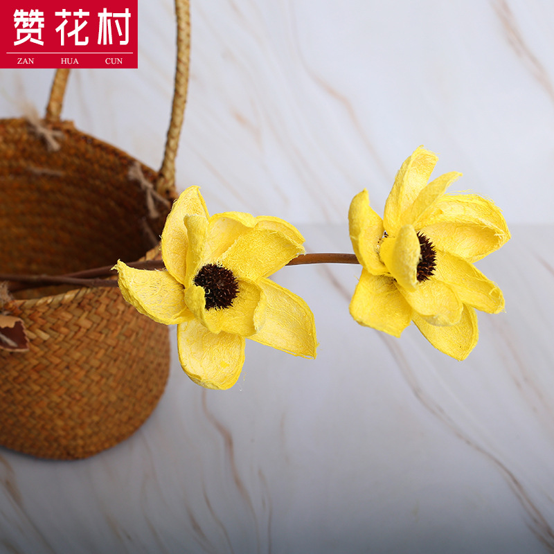 極速【贊花村】染色芙蓉花u 云南干花花束 家庭裝飾文藝拍攝道具
