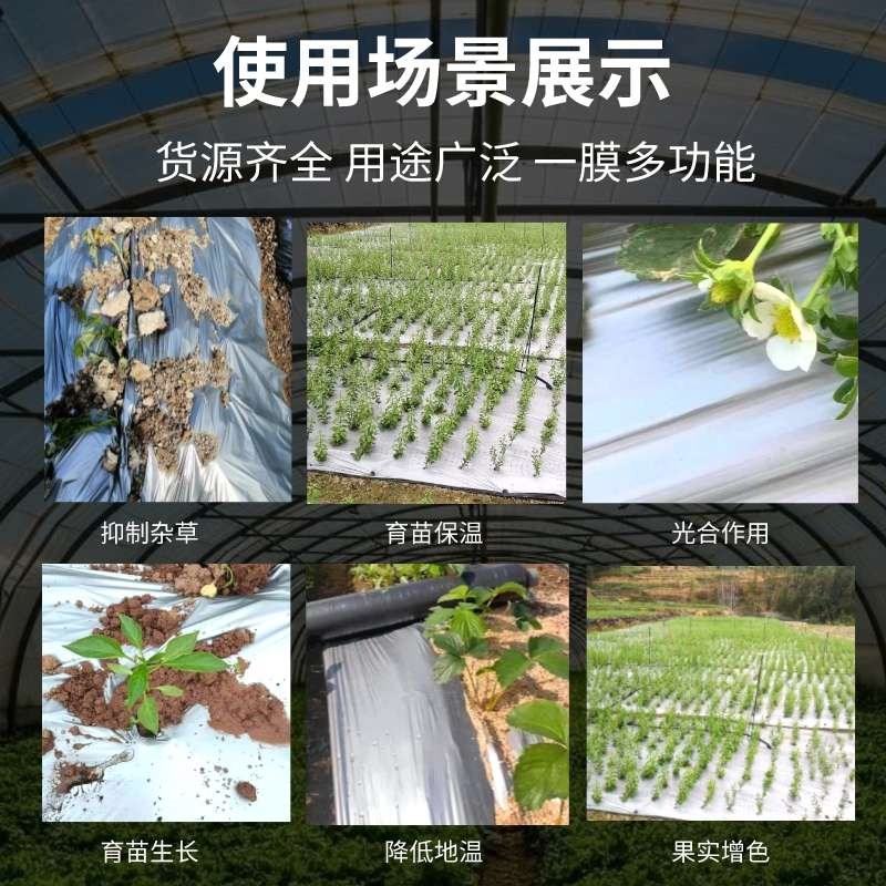 热销银黑双色地i膜农用种植种菜专用全新防虫保温加厚反光覆盖打