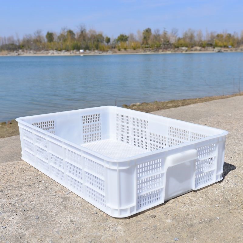 热销加厚龙虾f筐密眼筐塑料周转筐长方形虾苗专用筐塑料框水果小