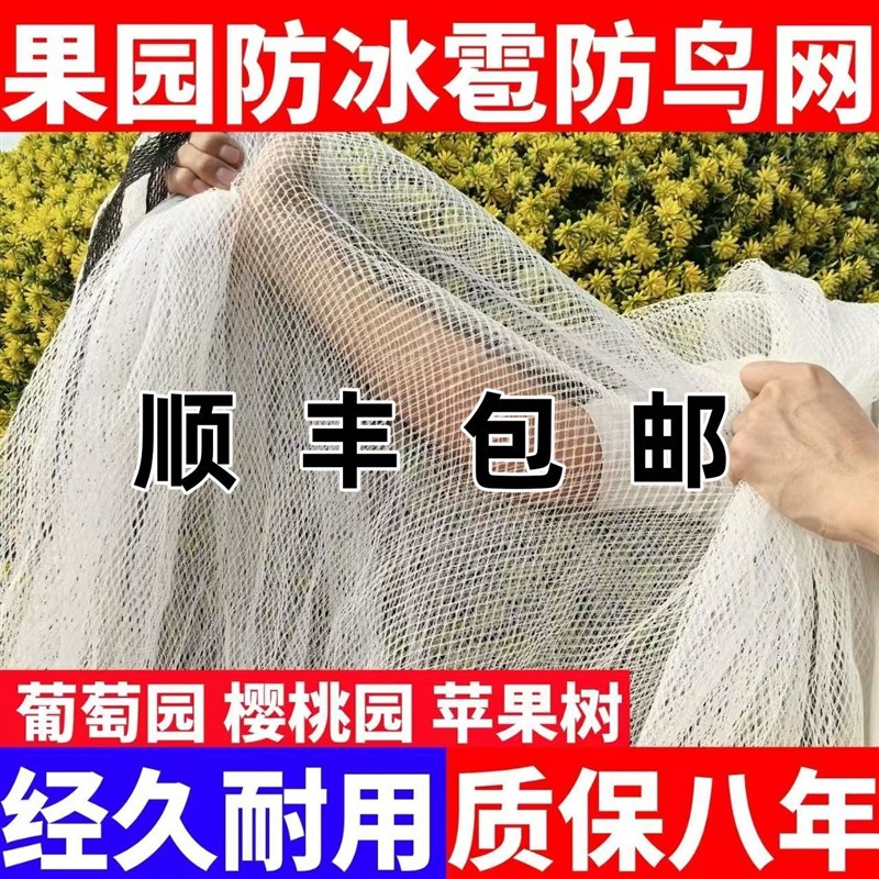 热销防雹网冰雹h果园防鸟网防鸟罩全罩葡萄网农用果树防冰雹网经