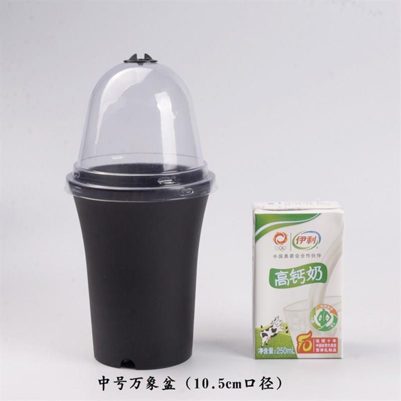 热销塑料万象盆加厚高腰圆u口花盆扦插带盖子闷养繁殖保温湿促发