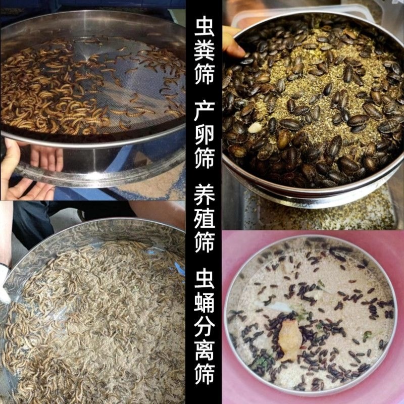 热销筛子黄粉虫粪筛产卵s筛蛋白虫蛹分离筛九龙虫过滤筛面包虫粪