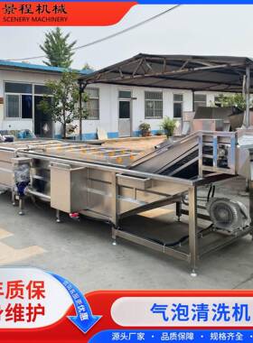 商用青菜喷淋式清洗机 不锈钢厨房大型清洗机 净菜成套加工流水线