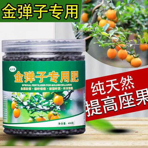 速发金弹子专用老营养液金蛋子肥料盆根粉生景玉肥盆栽花肥肥鸦柿
