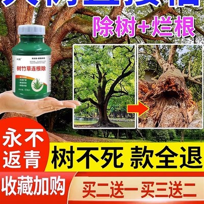 速发大树烂根药大树一滴死除树强力除草荒地杂草树枯死药烂树根剂