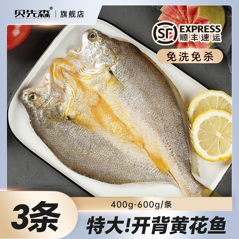 【胡可推荐】贝先森东海大黄鱼400-600g3条黄花鱼新鲜冰冻