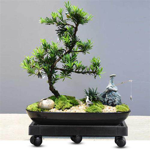 极速万向轮可移动花盆p托盘带滚轮盆景底座长方形托盘花盆垫花盘