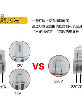 极速10支 G4 Halogen Bulb卤素E灯泡香薰灯12V20W灯泡水晶灯珠卤