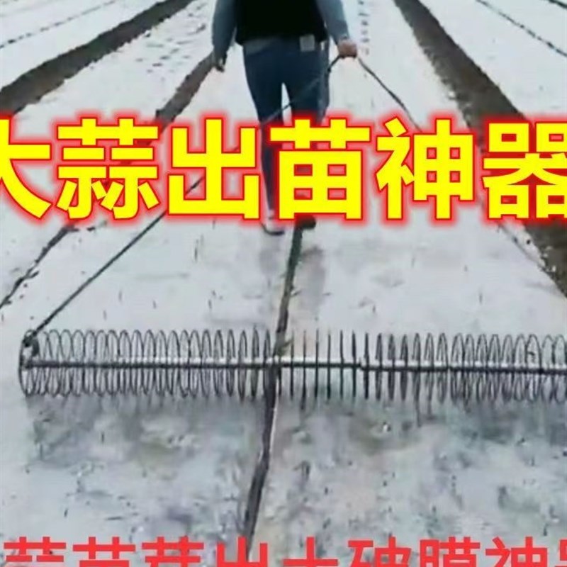 极速大蒜出c苗神器出苗器大蒜苗芽破膜助力工具铁环圆环种大蒜工