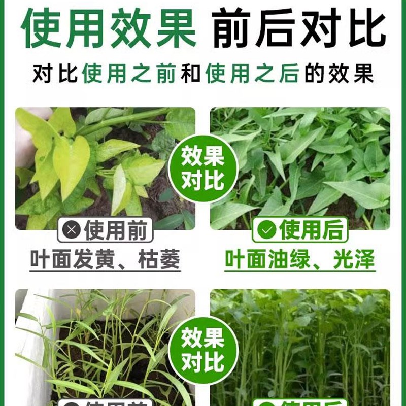 极速空心菜专g用肥庡庯庢蕹蓊蓊菜藤藤菜通心菜防治枯黄叶面水溶