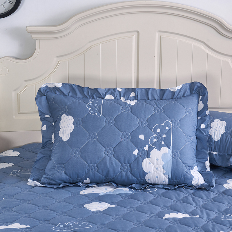 极速夹棉花边枕套一对加厚加棉荷叶边卡通花卉单人学生Z枕头套枕