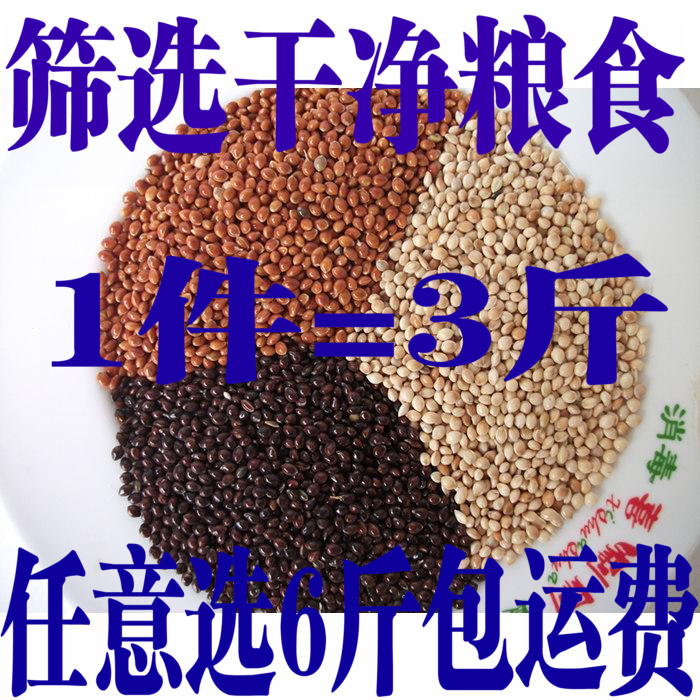极速黑白红黍子(各1斤) 带壳大黄米K 仓鼠鹦鹉鸟食 满5斤