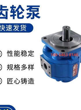 速发挖掘机高泵齿轮压 GJ206/206双联高压泵 2080/2050