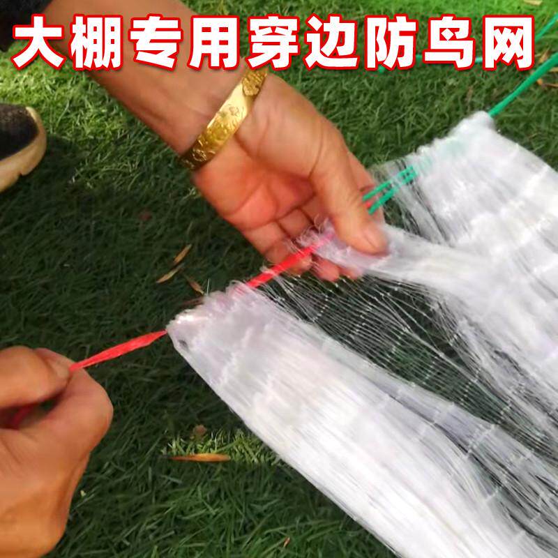 热销大棚防鸟网草莓尼龙网果树防鸟用网防乌网小S鸟果园防护网纱