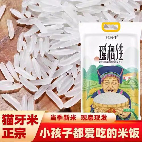 瑶稻佳广西正宗猫牙米官方新大米