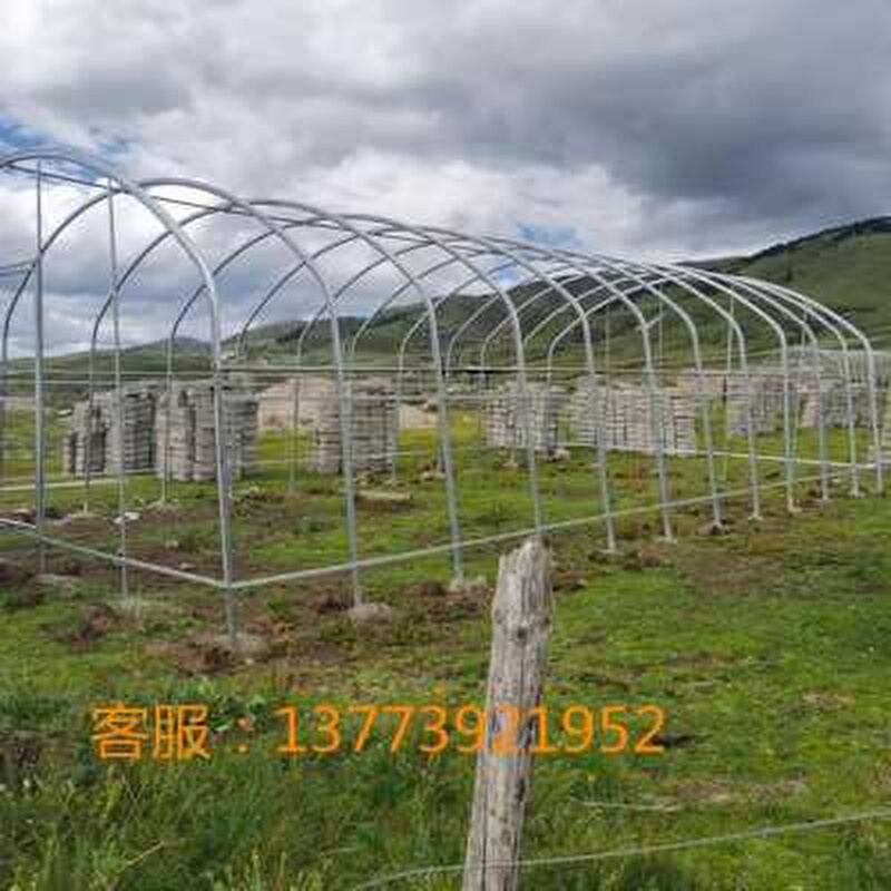 厂销新品棚钢管棚猪圈养大o椭圆猪舍养鸡场保温鹅管大养殖骨架架