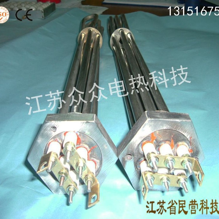 不锈钢锅炉水箱非标电加热管