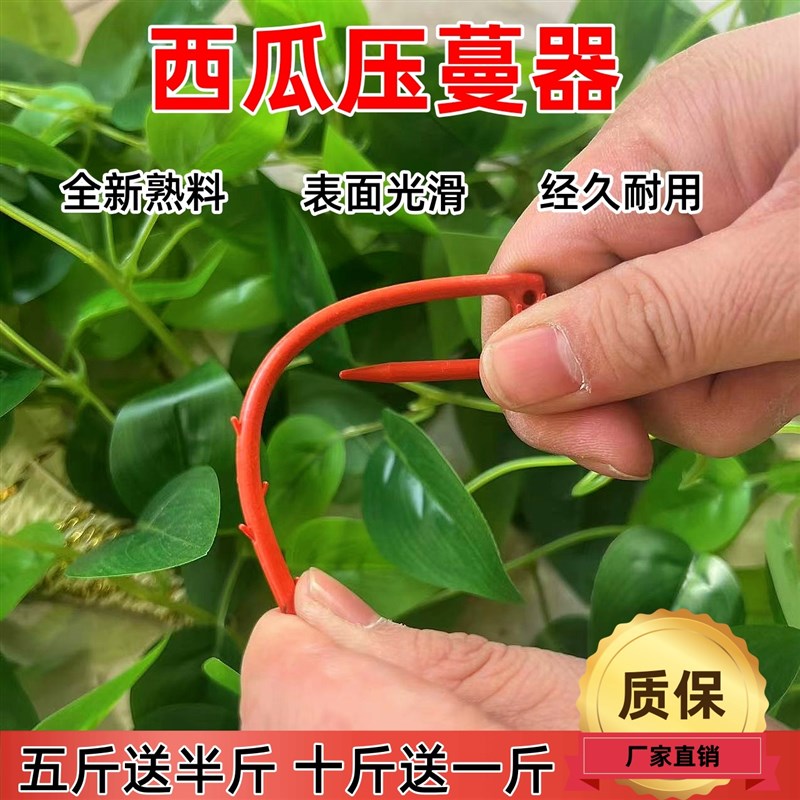热销西瓜压蔓器西瓜叉子压蔓固y定器压苗生根防风抗风藤蔓固定压