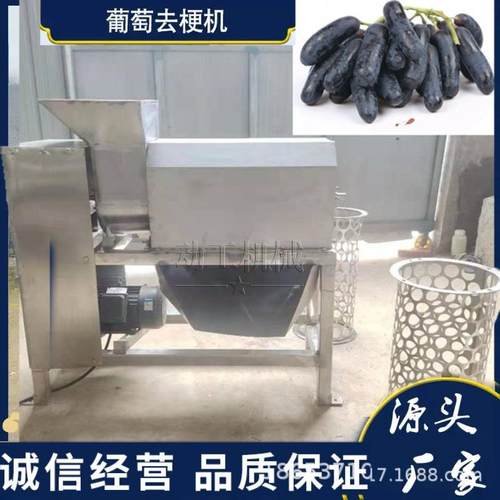 大型工业葡萄去梗破碎一体机商用葡萄去皮去籽打浆机葡萄除梗机