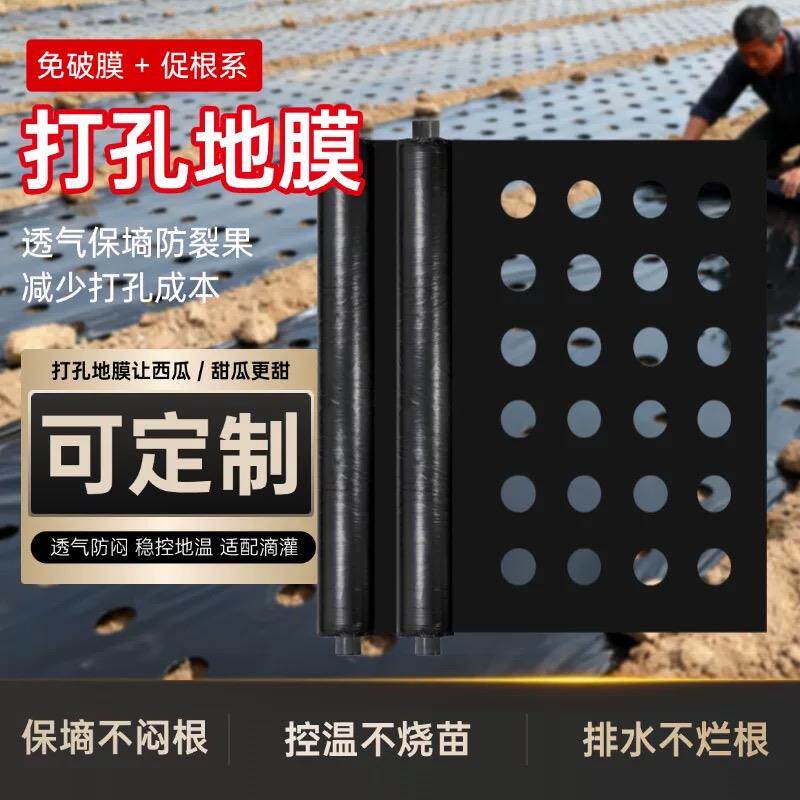 现货打孔黑地膜农用带孔有孔黑地膜防草种菜种植辣椒Y大蒜玉米专