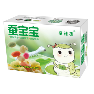 极速蚕宝c宝学生养蚕套装活体金丝蚕春蚕卵籽七彩蚕活物幼虫新鲜