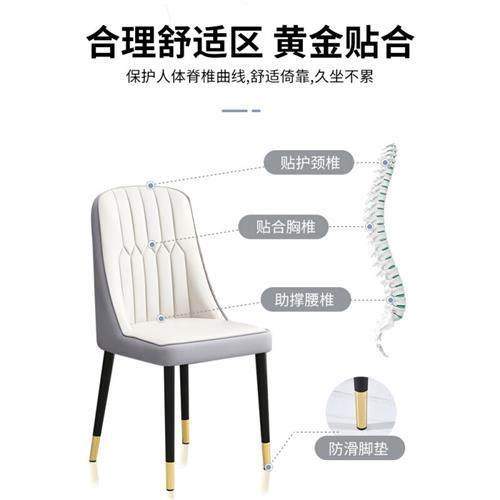 极速餐椅家椅现代简约轻奢靠背休闲餐桌椅咖啡S用北欧椅子酒店餐