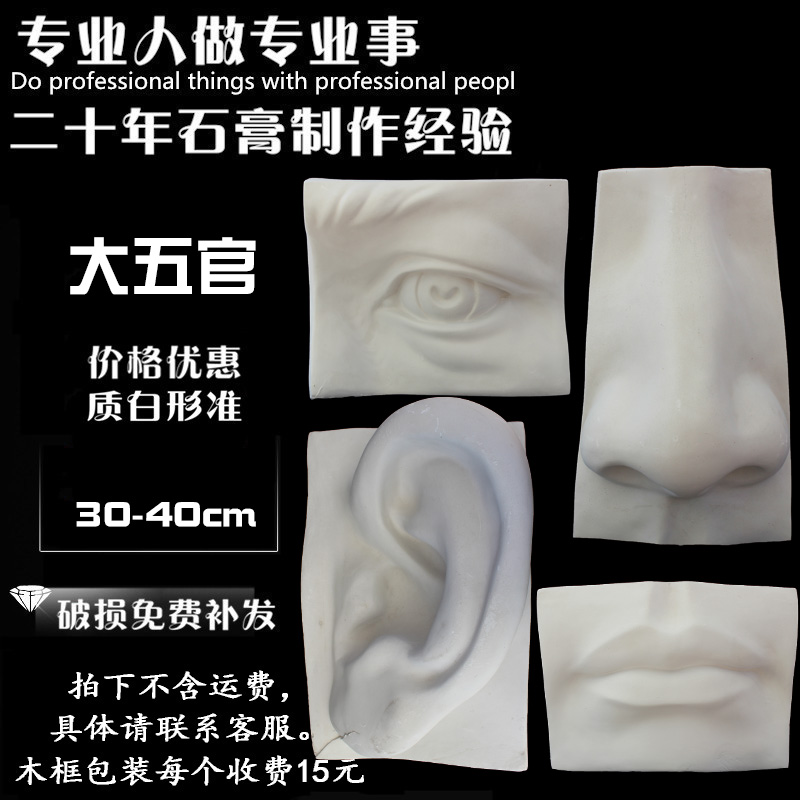 极速艺考石膏教i具特大大五官园E面石膏像石膏模型大五官实面